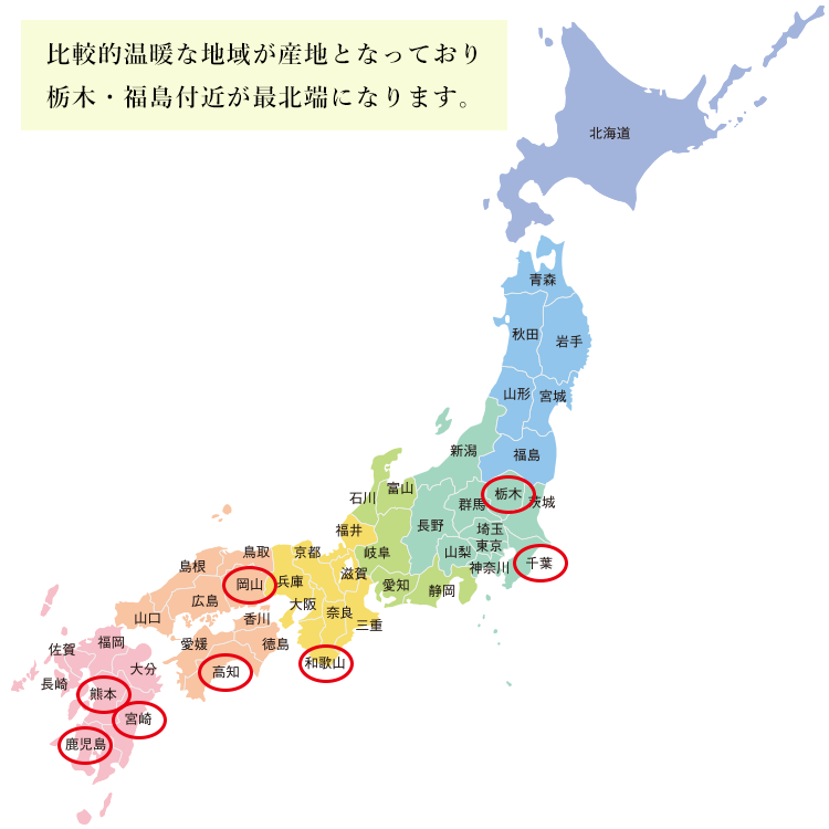 国産生姜の産地